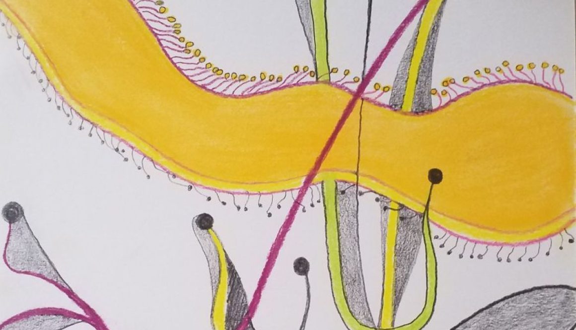 Abstraction